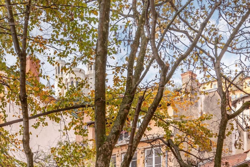 Le Cocon De Saint-Jean Leilighet Lyon Eksteriør bilde